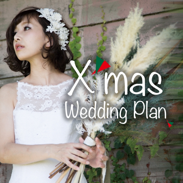 限定3組<br>Xmas Wedding Plan