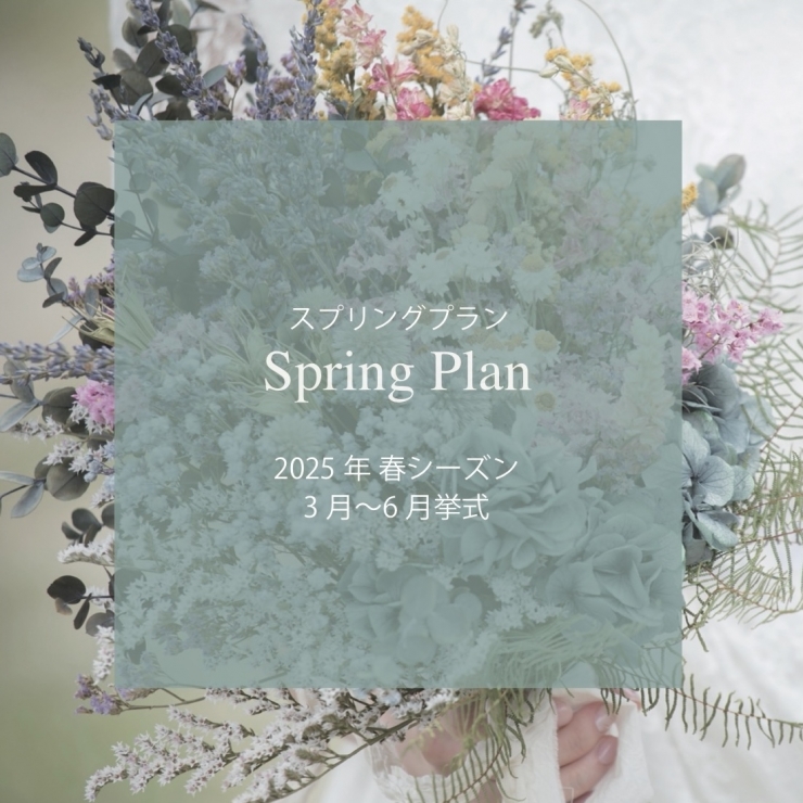 【2025年3月～6月挙式】2025 Spring Plan 